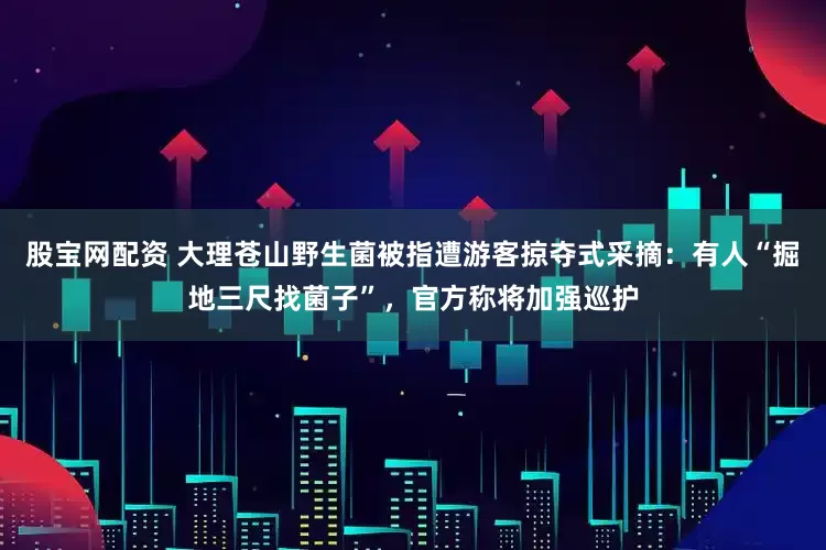股宝网配资 大理苍山野生菌被指遭游客掠夺式采摘：有人“掘地三尺找菌子”，官方称将加强巡护