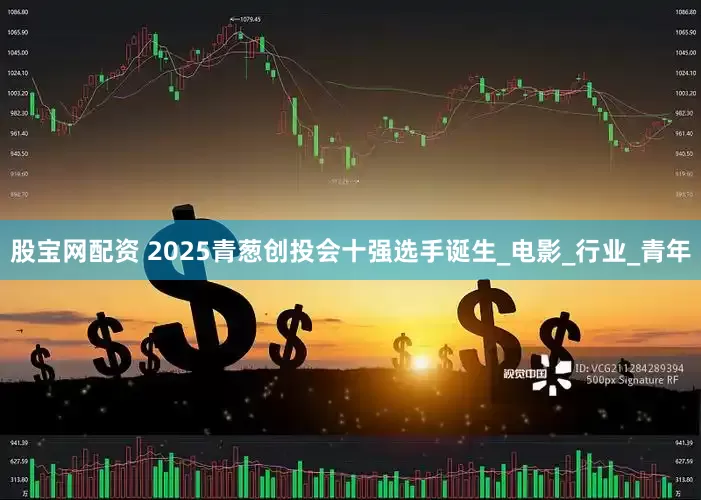 股宝网配资 2025青葱创投会十强选手诞生_电影_行业_青年