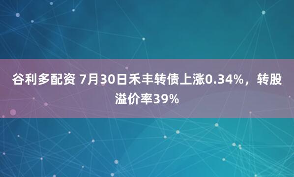 谷利多配资 7月30日禾丰转债上涨0.34%，转股溢价率39%