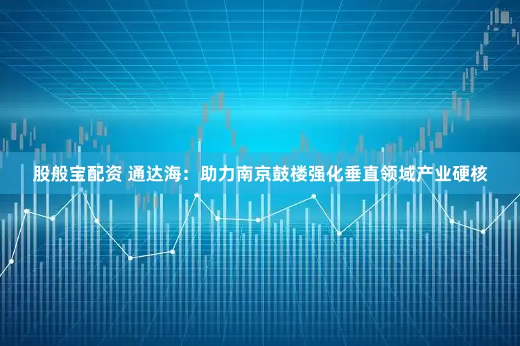 股般宝配资 通达海:助力南京鼓楼强化垂直领域产业硬核