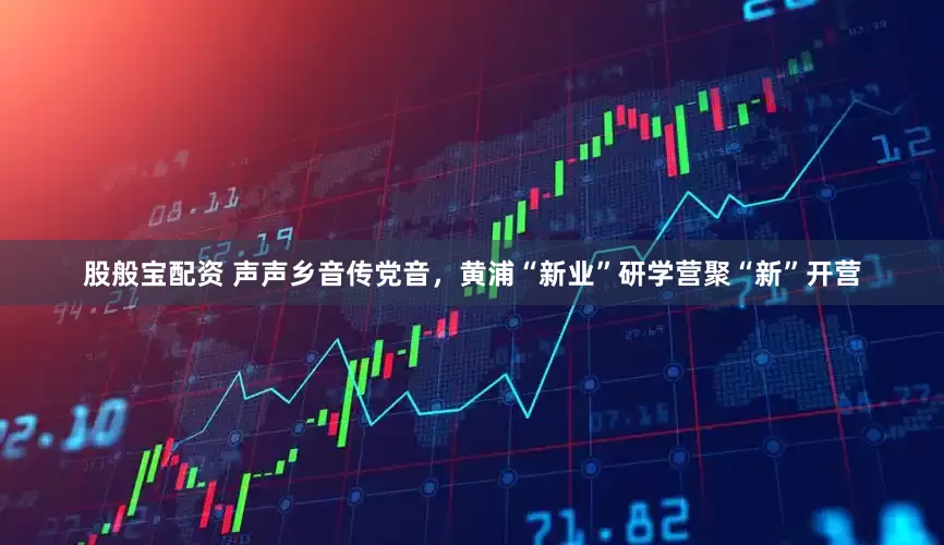 股般宝配资 声声乡音传党音，黄浦“新业”研学营聚“新”开营